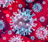 What is the damage of the Coronavirus on the US manufacturing and services sectors? 